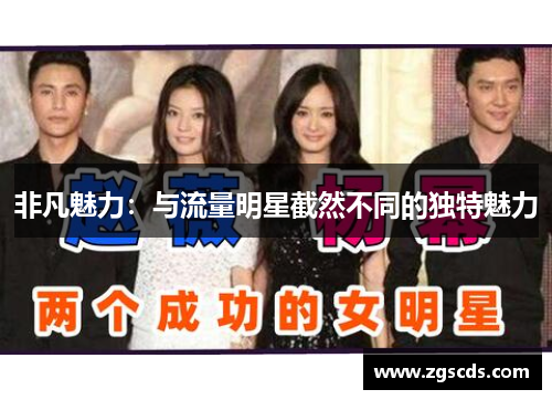 非凡魅力：与流量明星截然不同的独特魅力