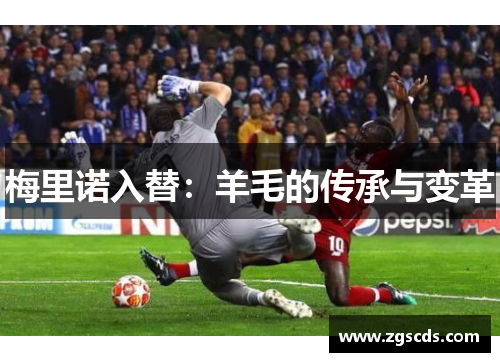 梅里诺入替：羊毛的传承与变革
